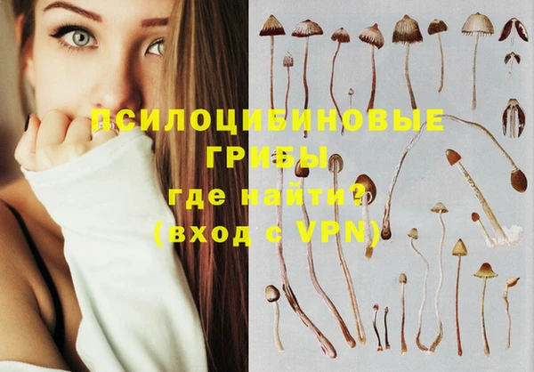 PSILOCYBIN Армянск