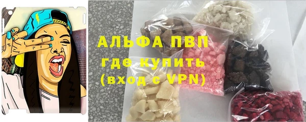 шишки Аркадак
