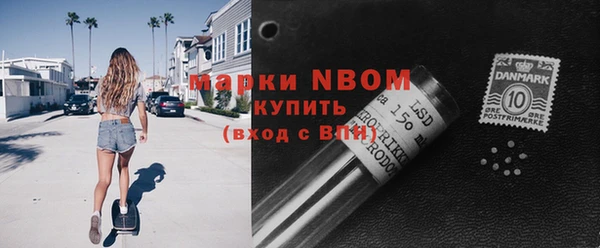 шишки Аркадак