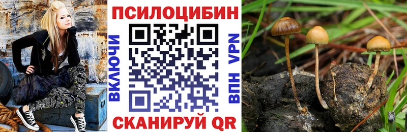 Галлюциногенные грибы GOLDEN TEACHER  Купить закладки  Тихвин 